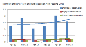 Average Numbers of animals per dive during each count