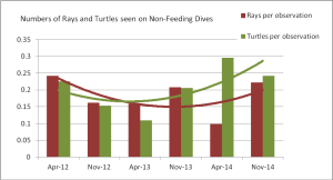 Average Numbers of Rays and Turtles per dive during each count