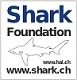 Shark Foundation