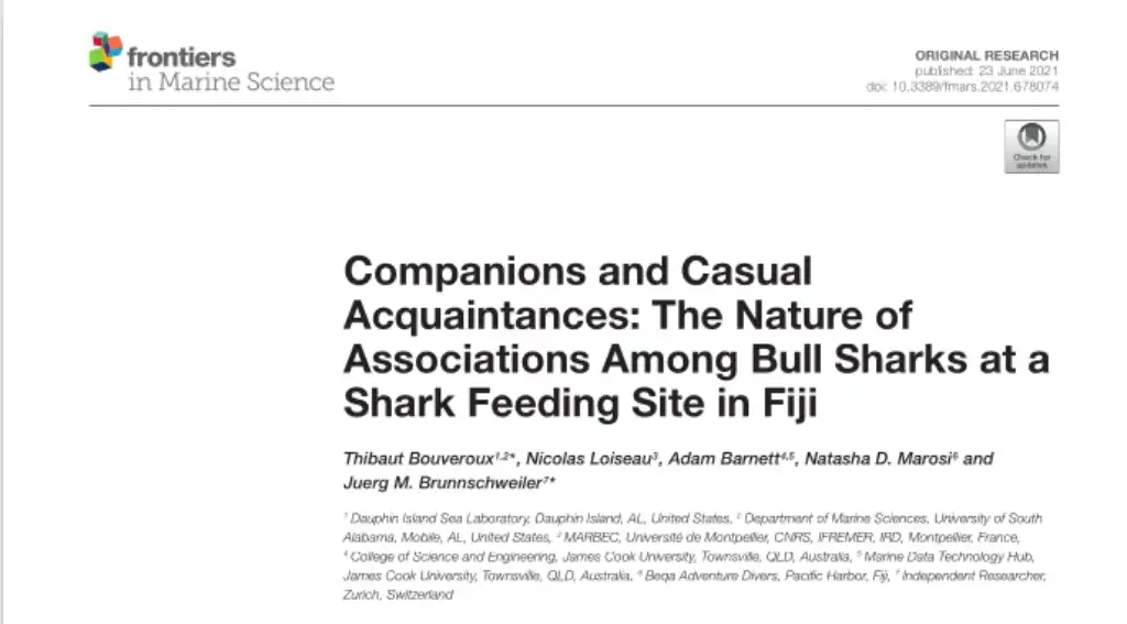 Companions and Casual Acquaintances: The Nature of Associations Among Bull Sharks at a Shark Feeding Site in Fiji – June 2021 – Thibaut Bouveroux