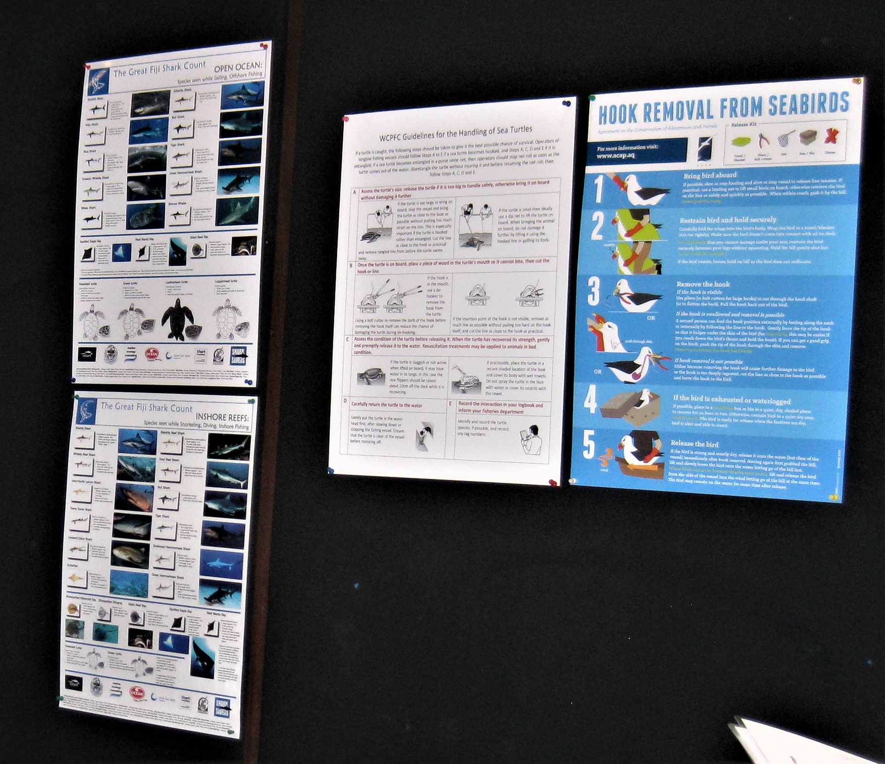 Fiji’s Bycatch Guidelines & Bycatch Mitigation Toolkits -A good start to the New Year