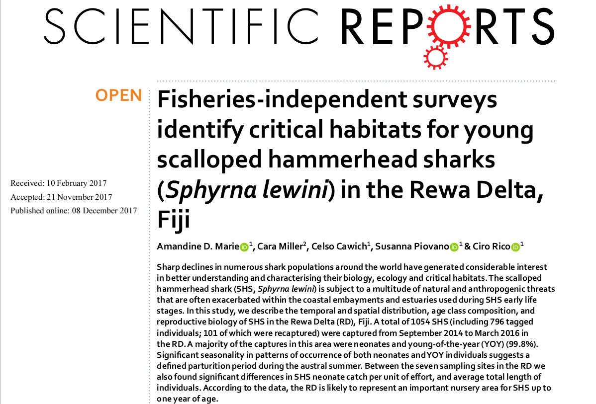 Fisheries-independent surveys identify critical habitats for young scalloped hammerhead sharks (Sphyrna lewini) in the Rewa Delta, Fiji