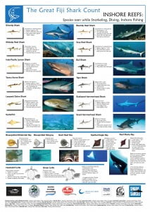 Fiji Shark Count Diving & Inshore Poster