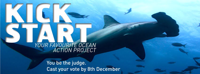 Ocean Action Project  2013: vote for The Great Fiji Shark Count!