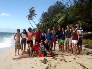 Voluntourism contributes greatly to the Great Fiji Shark Count