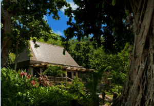 Lalati Resort and Spa