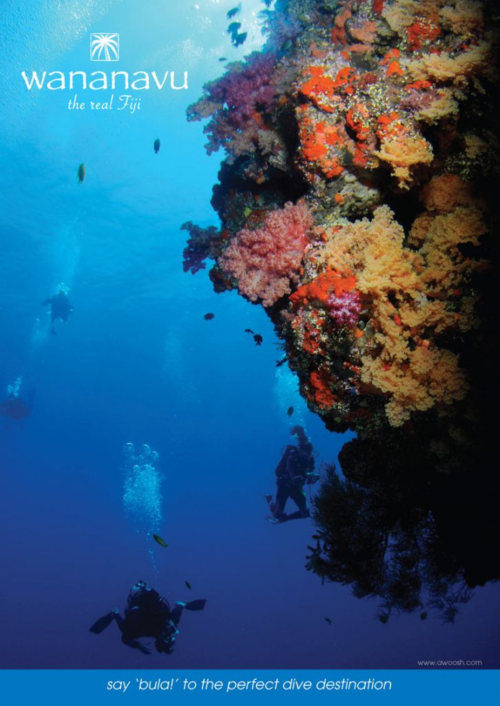 dive wananavu, the bligh