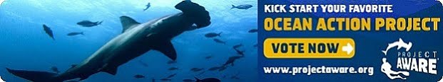 shark