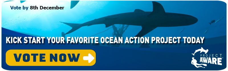 Ocean Action Project  2013: vote for The Great Fiji Shark Count!